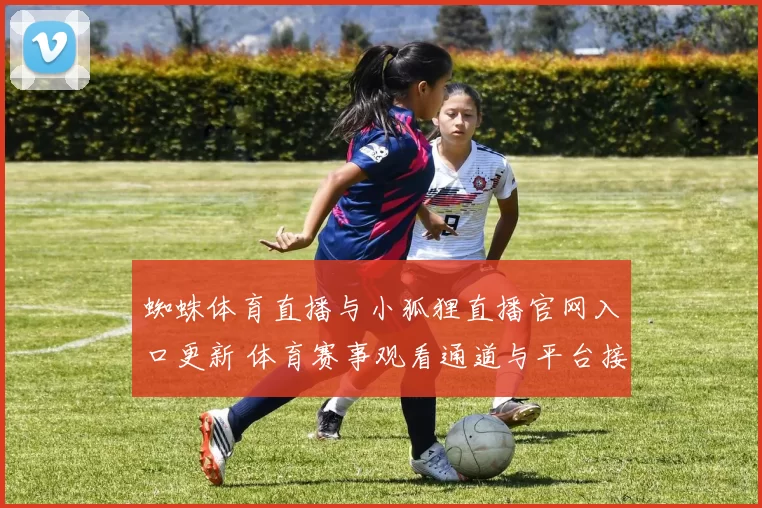 蜘蛛体育直播与小狐狸直播官网入口更新 体育赛事观看通道与平台接入方式解析