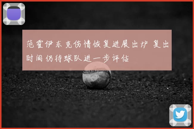 范霍伊东克伤情恢复进展出炉 复出时间仍待球队进一步评估