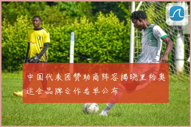 中国代表团赞助商阵容揭晓里约奥运会品牌合作名单公布