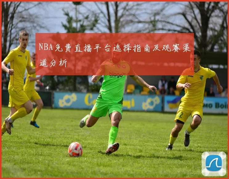 NBA免费直播平台选择指南及观赛渠道分析