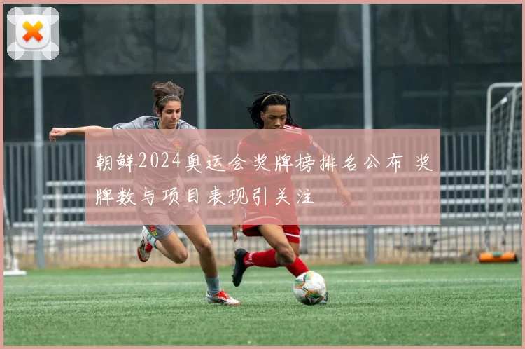 朝鲜2024奥运会奖牌榜排名公布 奖牌数与项目表现引关注